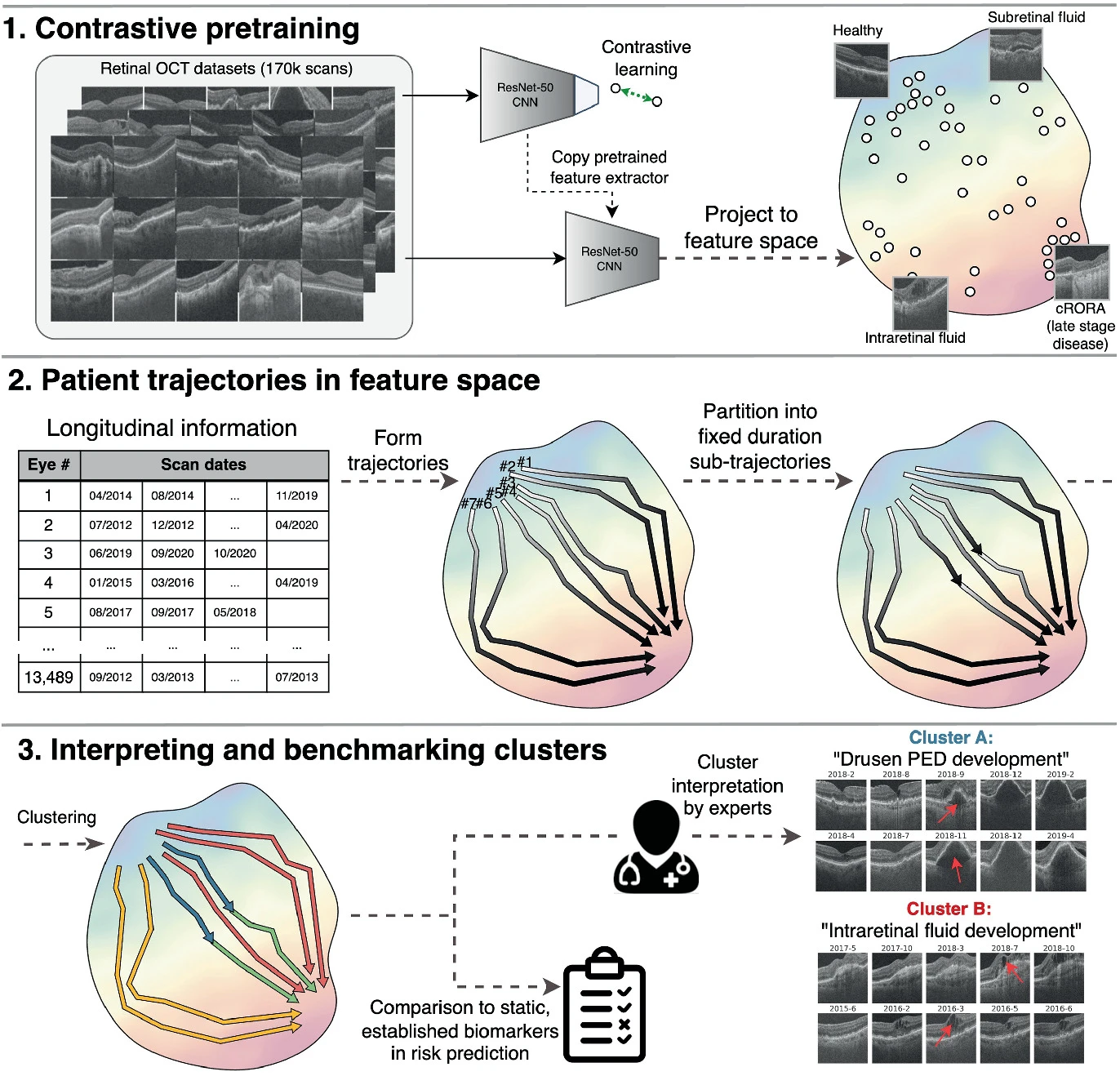 Clustering trajectories visualization