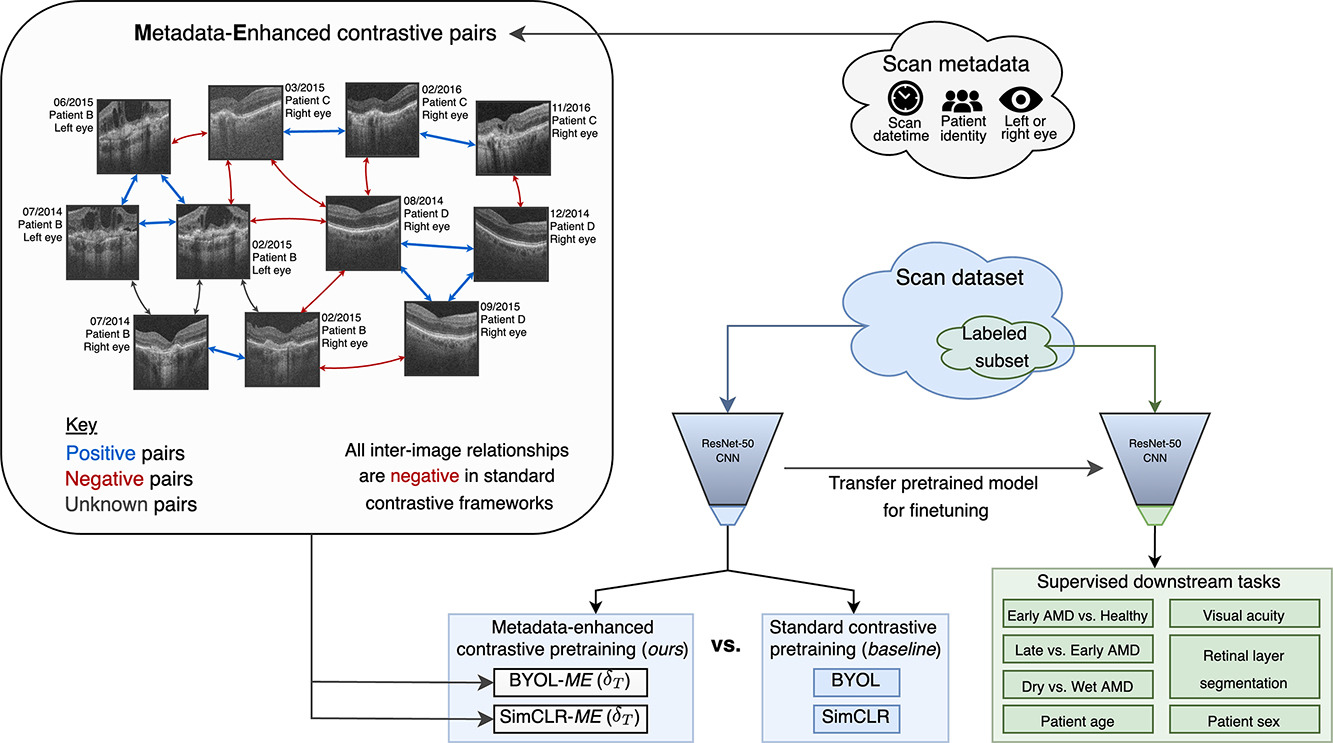Metadata-enhanced contrastive learning paper figure