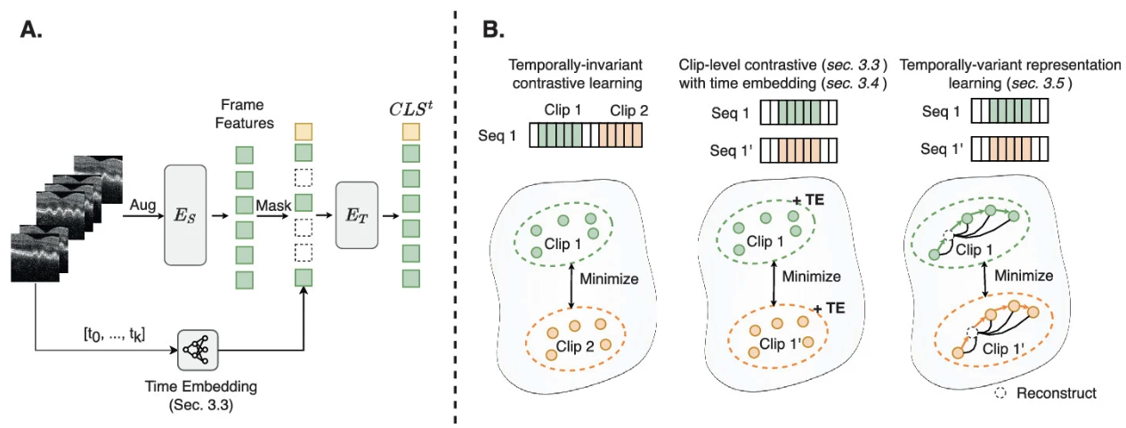 Spatiotemporal representation learning paper figure